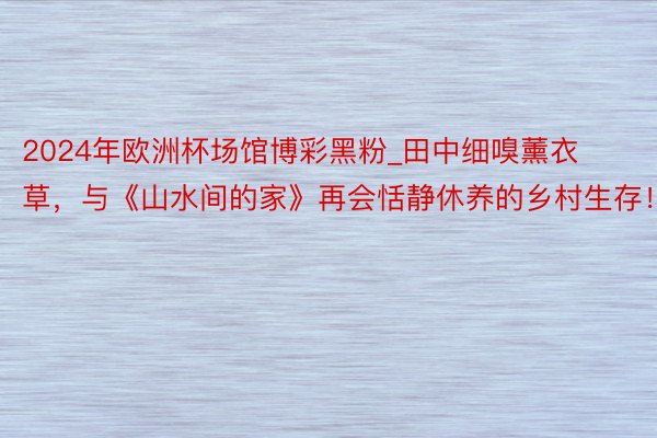 2024年欧洲杯场馆博彩黑粉_田中细嗅薰衣草，与《山水间的家》再会恬静休养的乡村生存！